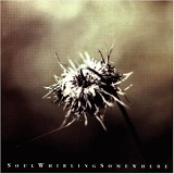 Soul Whirling Somewhere - Everyone Will Eventually Leave You