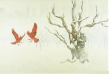 OHO - Recollections