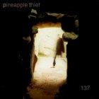 The Pineapple Thief - 137