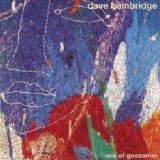 Dave Bainbridge - Veil Of Gossamer