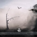 When Day Descends - Transcend