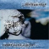 The Pineapple Thief - Variations On A Dream (Limited Edition)