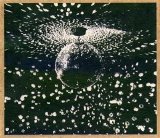 Neil Young - Mirror Ball (1995)