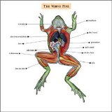 Verve Pipe, The - The Virve Pipe