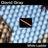 Gray, David - White Ladder