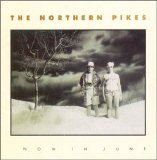 Northern Pikes - Snow In June