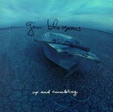 Gin Blossoms - Up & Crumbling
