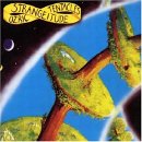 Ozric Tentacles - Strangeitude