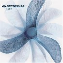 AfroCelts - Seed