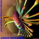 Ozric Tentacles - Reading University, May 15, 1992