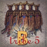 B-Tribe - B-Tribe 5