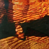 Acoustic Alchemy - Red Dust and Spanish Lace