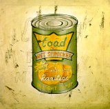 Toad The Wet Sprocket - In Light Syrup
