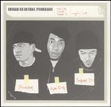 Urban Renewal Program - Wylin Out