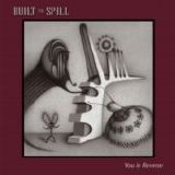 Built to Spill - You in Reverse
