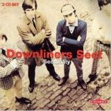 Downliners Sect - Sectuality
