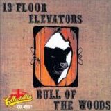 13th Floor Elevators - Bull of the woods
