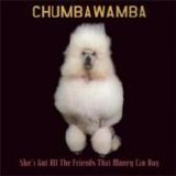 Chumbawamba - She's Got All The Friends That Money Can Buy single