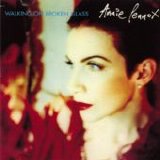 Annie Lennox - Walking On Broken Glass single