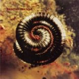 Nine Inch Nails - Closer To God single
