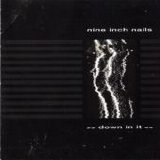 Nine Inch Nails - Down Iin It single