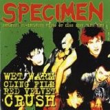 Specimen - Wet Warm Cling Film Red Velvet Crush