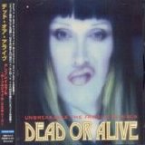 Dead Or Alive - Unbreakable: The Fragile Remixes