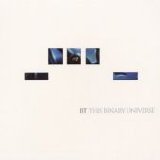 BT - This Binary Universe