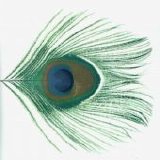 XTC - Apple Venus Volume 1