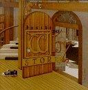 Why Store, The - Inside The Why Store