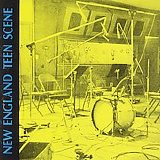 Various artists - New England Teen Scene