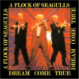 A Flock of Seagulls - Dream Come True