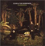 Echo and the Bunnymen - Evergreen