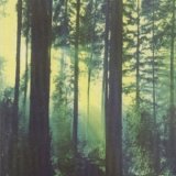 Thy Serpent - Forests of Witchery