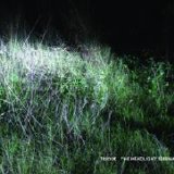 Triosk - The Headlight Serenade
