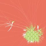 Plant43 - Splitep1