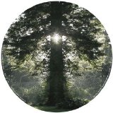Anthony Rother - Gott + Luzifer Ep