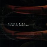 Raised Fist - Ignoring the Guidelines