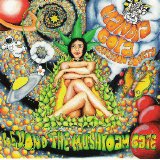 Mandra Gora Lightshow Society - Beyond the Mushroam Gate