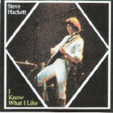 Steve Hackett - I Know What I Like