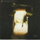 Pineapple Thief - 137