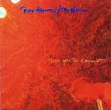 Peter Hammill / The Noise - There Goes The Daylight