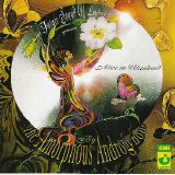 Amorphous Androgynous - Alice In Ultraland