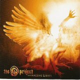 The D Project - Shimmering Lights