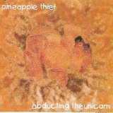 Pineapple Thief - Abducting The Unicorn