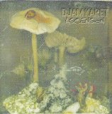 Djam Karet - Ascension: New Dark Age Vol.2