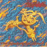 Skyclad - The Answer Machine?