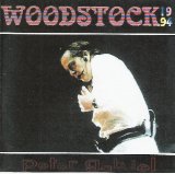 Peter Gabriel - Woodstock 1994