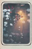 Haze - The 10th Anniversary Gig! I