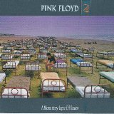Pink Floyd - A Momentary Lapse Of Reason